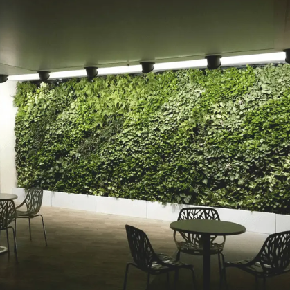 Professional Vertical Garden Installation in Bangalore