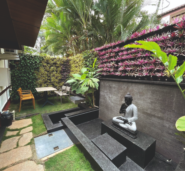 Vertical Garden Wall Installation Service Near Me