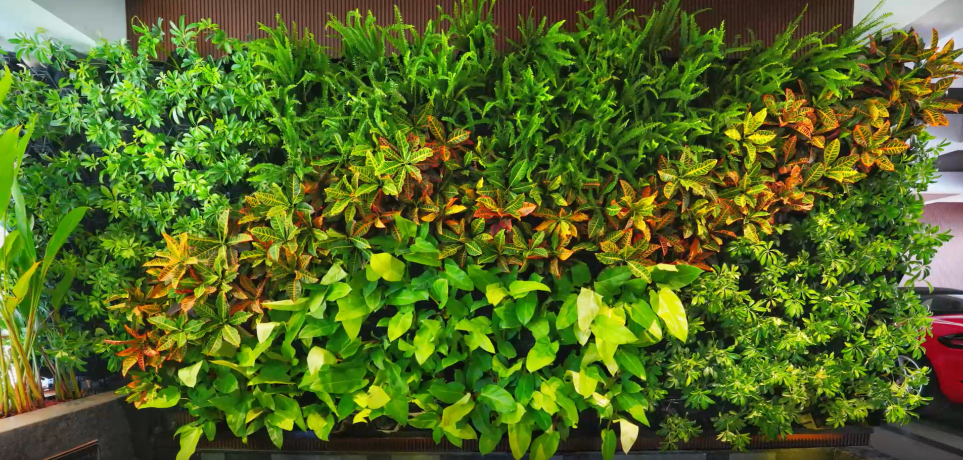Vertical Garden Installation Service Near Me