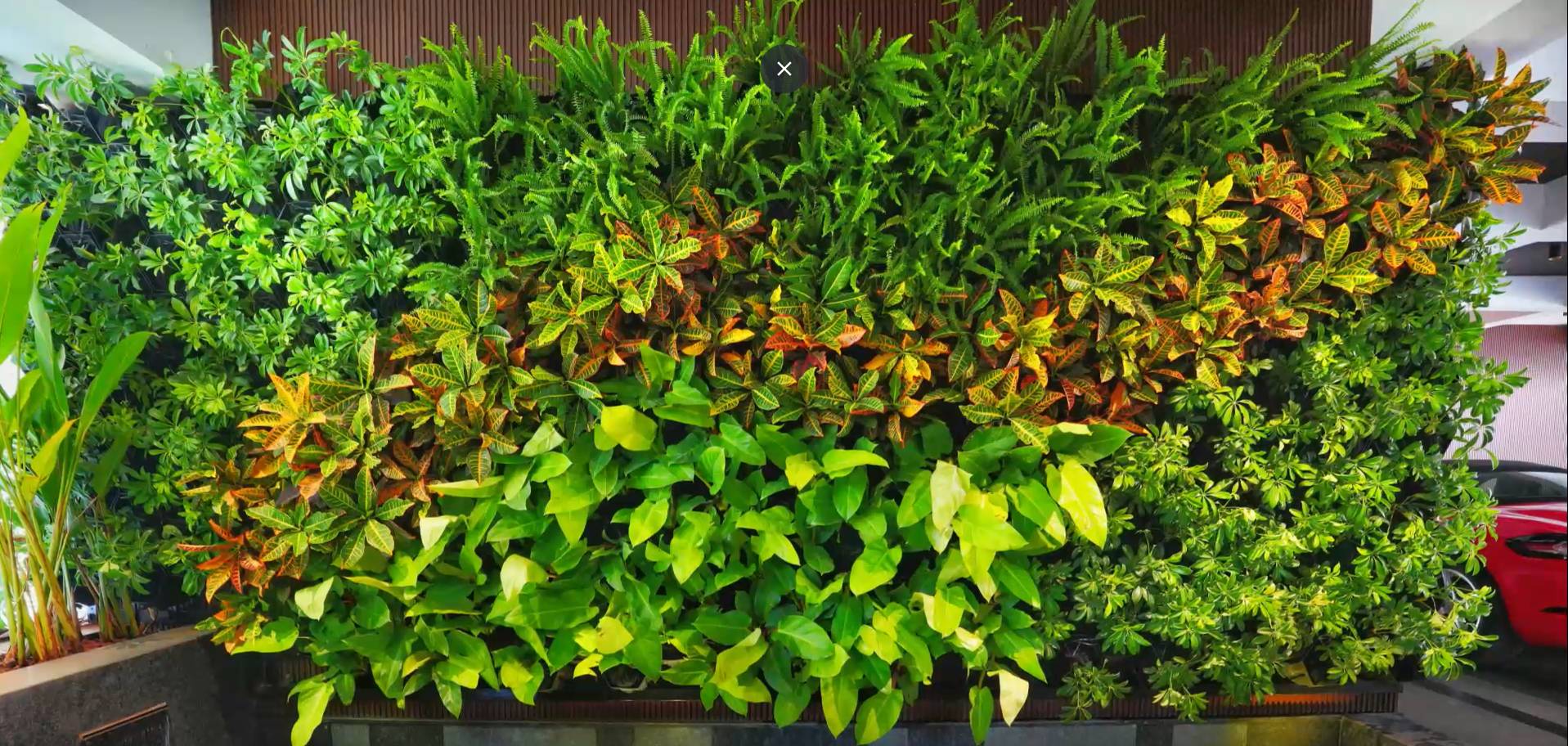 Expert Vertical Garden Installers Near KR Puram