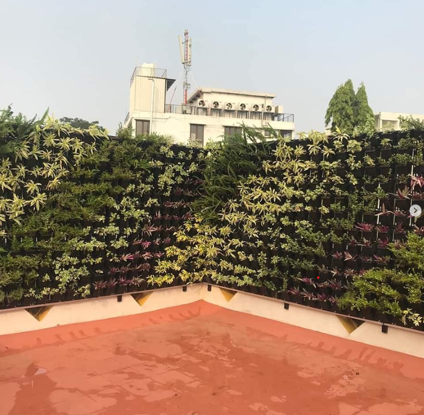 Best Vertical Garden Installers Near Me