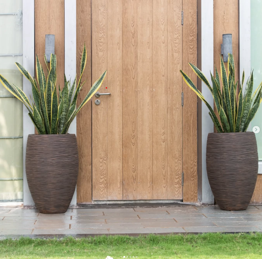 Best Outdoor Plants Store Near Me